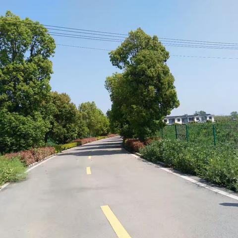 同学情  情谊长