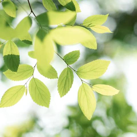 你好！秋天——润亿东升幼儿园秋天主题活动