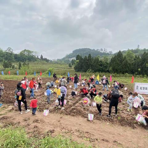 “春意盎然，田间拾趣”——祥和小区幼儿园2021年春亲子农耕体验活动