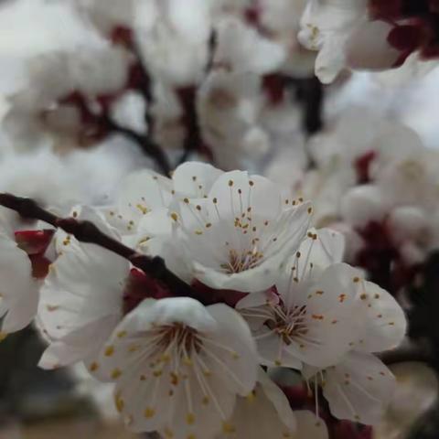 众力并则万钧举，群智用则庶绩康 ————西十里小学第六周值周工作总结