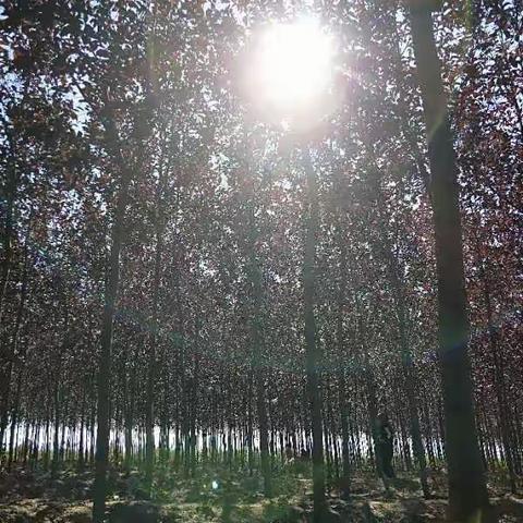 走进大自然，回归自然