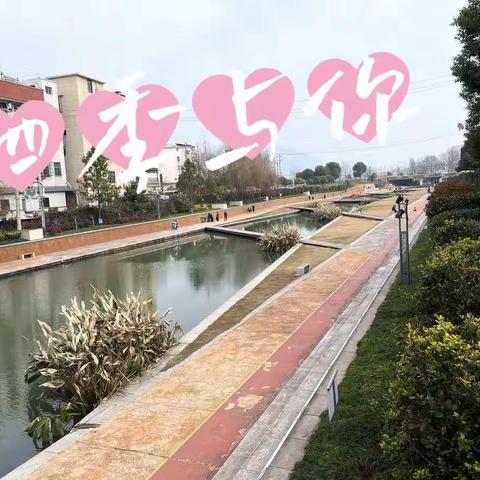 走近苏溪江——苏溪一小501班实践活动所闻所感