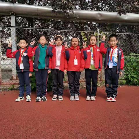 时光不语，静待花开