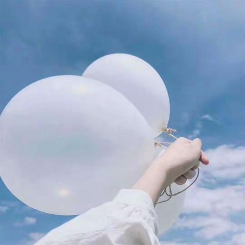 西区六年级知识点梳理