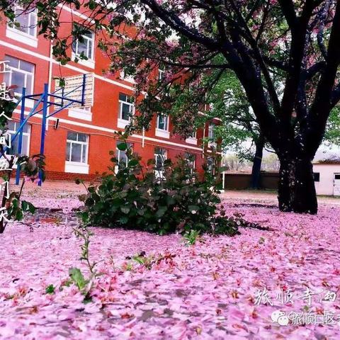 联合督导进校园    构筑疫情防控安全线记寺沟小学迎接春季开学疫情防控工作督导组检查