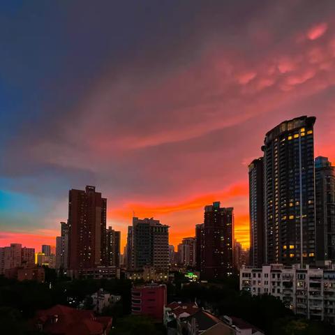 手机 · 定格 · 瞬间  Jul.2022