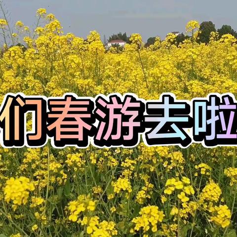 “亲近自然，拥抱春天”禾市镇中心小学附属幼儿园春游实践活动