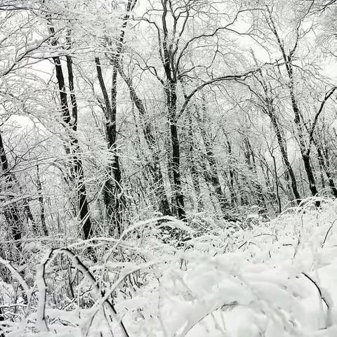 2018年的第一场雪