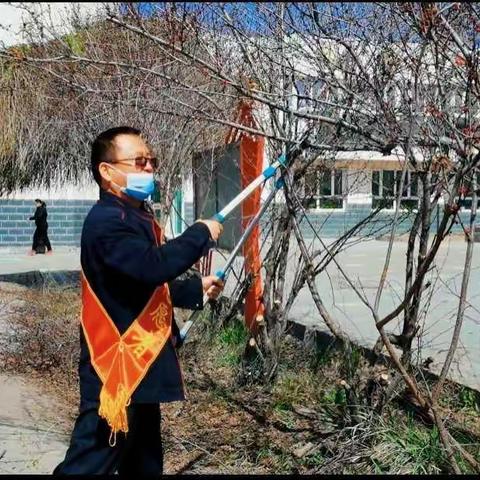 党员开展“修剪绿化树木·美化校园环境”主题教育活动