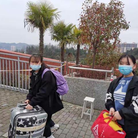 春花绽放  逐梦思源