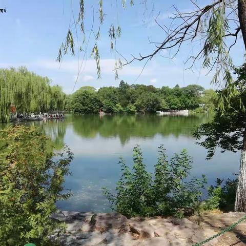 唐山育才棋院总院～围棋夏令营成绩汇总