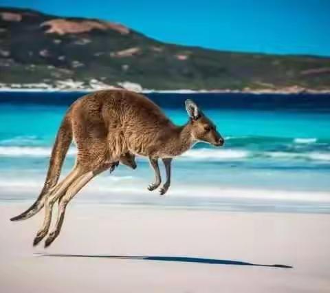 2017.5.14羽乐庆祝母亲节群活动