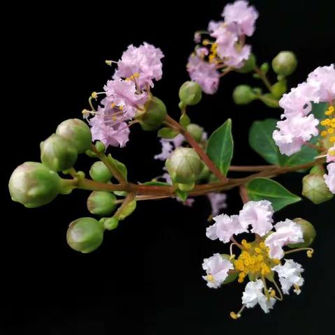 育才暑假特色训练营～～～报名啦！