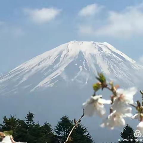 东瀛假日day4遇见富士山