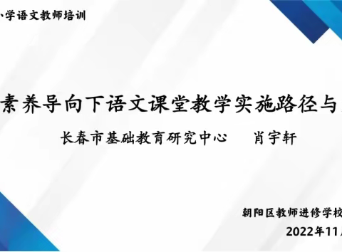 探赜索隐新课标 提质增效新课堂——朝阳区小学语文学科教师培训纪实