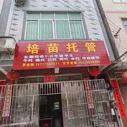 培苗托管2023年春季期招生报名开始啦！