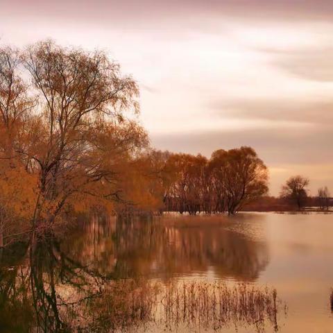 低色温下的高级灰