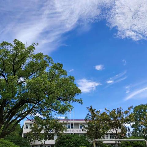 王十万中学2021年端午节学生安全教育告家长书