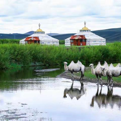 三伏天，北国行