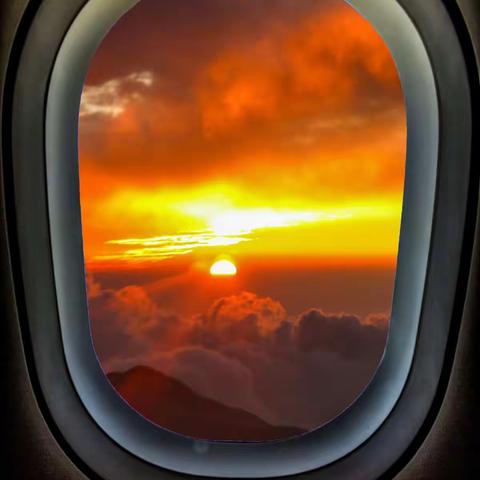 追光逐影又一年（上）