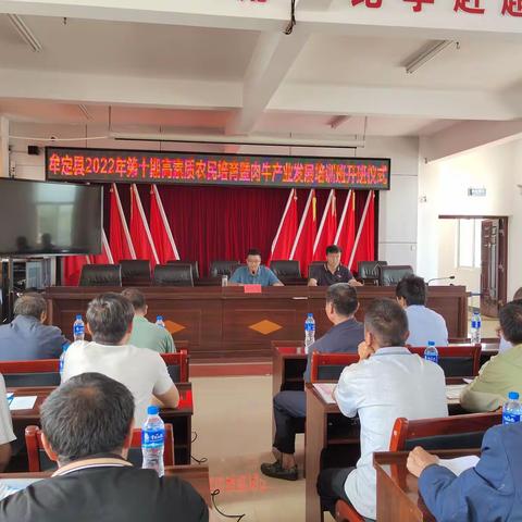 培强做大肉牛产业   巩固脱贫攻坚成果