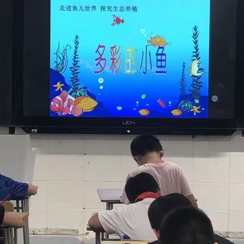 多彩的小鱼——绘画比赛