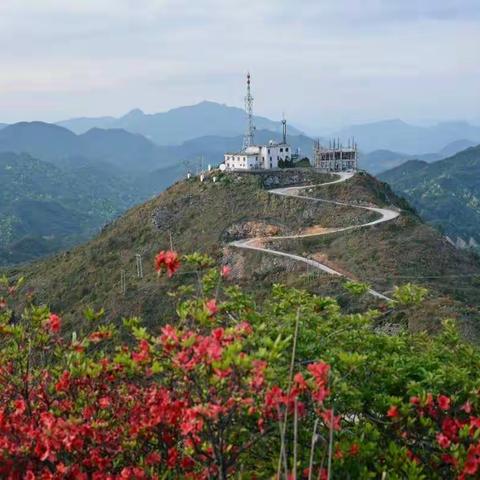 红尖山上映山红