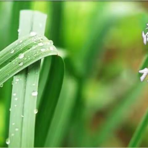 【原创】七律组诗*好雨知时节