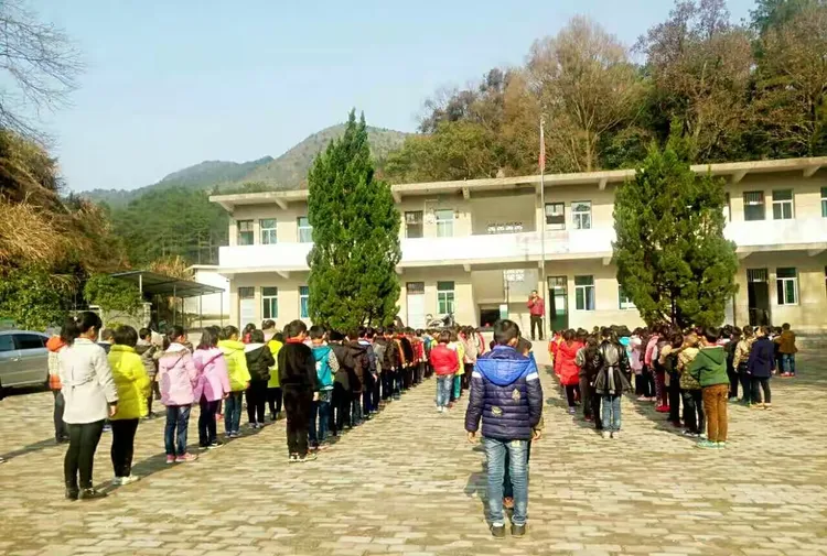 葛源镇枫林小学汛期安全教育活动