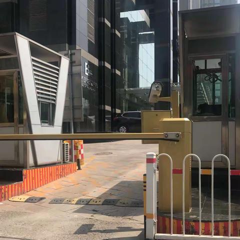 阳春四月国贸游