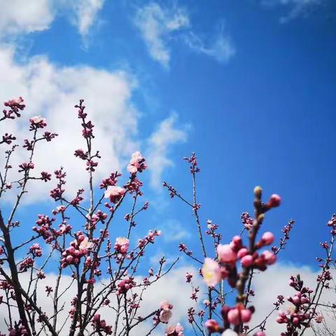 四月随想