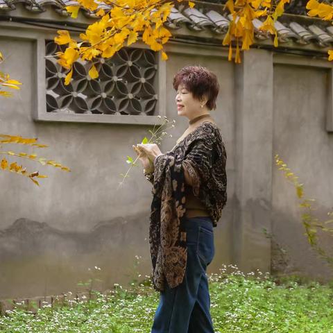 银杏树下，拾一份暖，遇见                         时光里的清欢