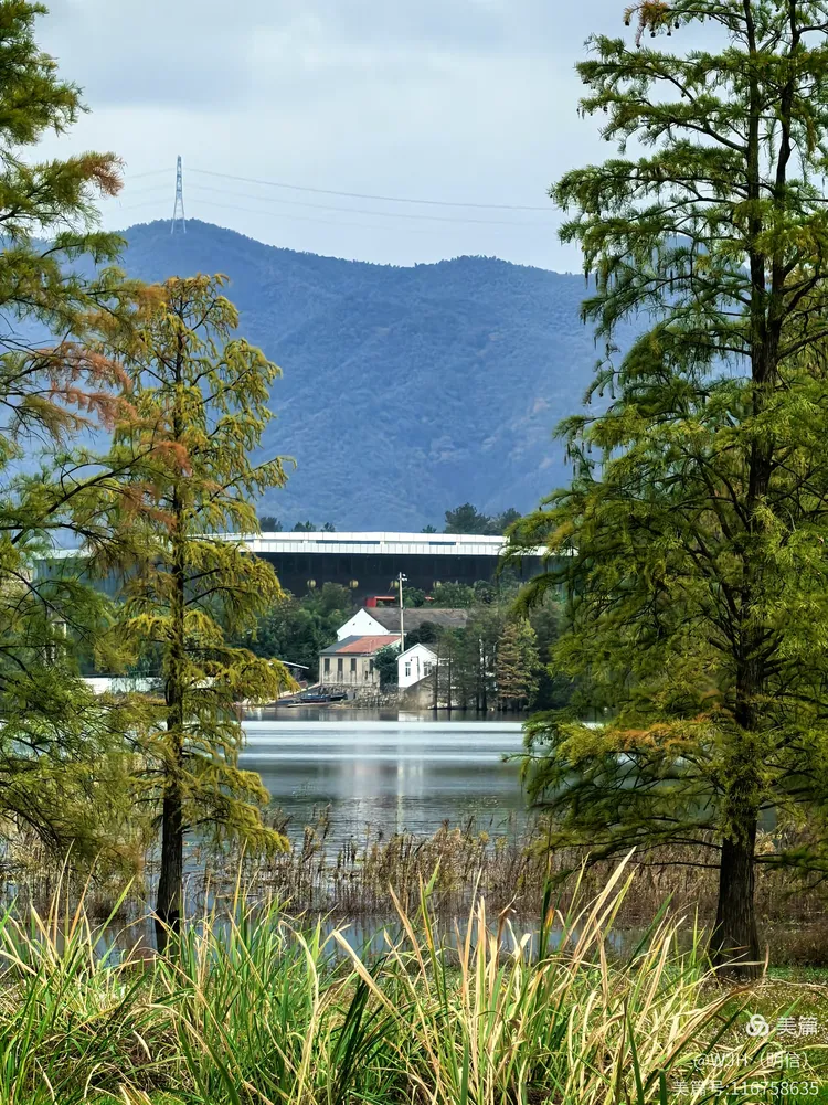 浙江省宁波市余姚市天气