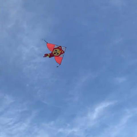 天有实验学校六（1）班风筝节筹备会