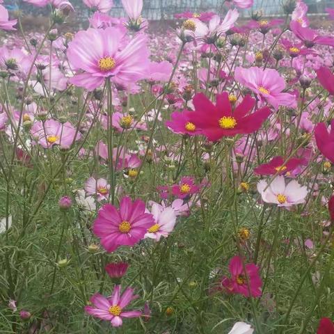 初中二组学习简报(11月11日)