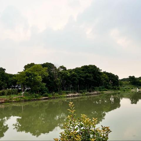 在希望与绝望之间