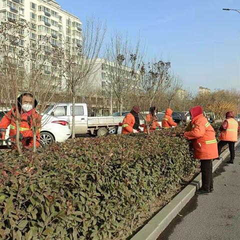 县交运局12月15日工作纪实