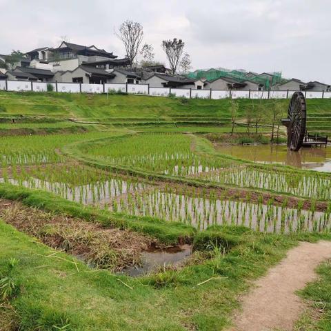 爱祖国爱家乡 ，乡村亲子游