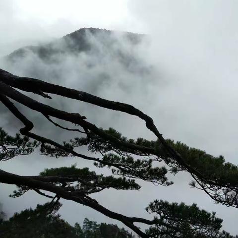 无限风光在险峰，也在雨中