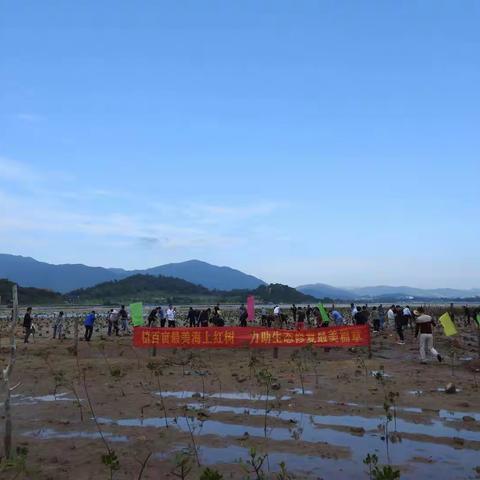 市林业局、海棠区组织开展“植海棠百亩最美海上红树”义务植树活动