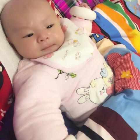 苏贝晨宝宝成长记