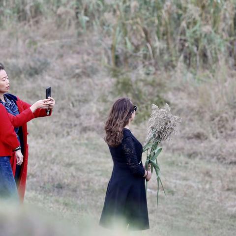 无为休闲何处去？泥汊江滩欢迎您！