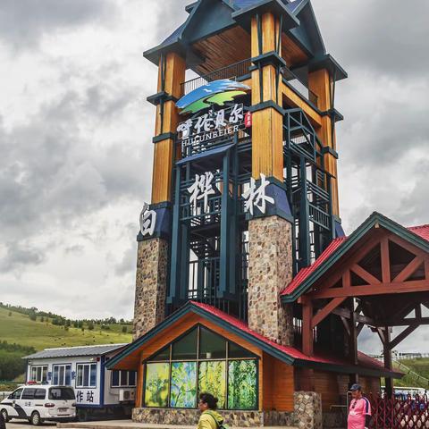 额尔古纳白桦林