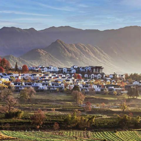 二0二三年摄影工作总结