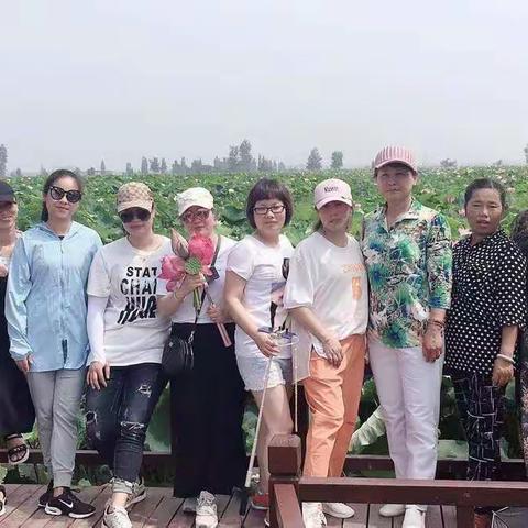 2019年7月赏荷花