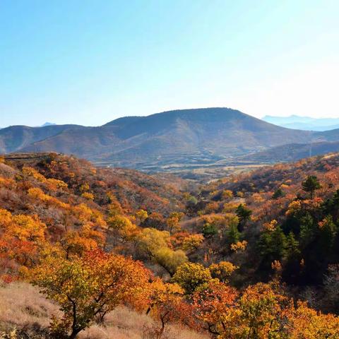 秋的色彩  醉美九头山