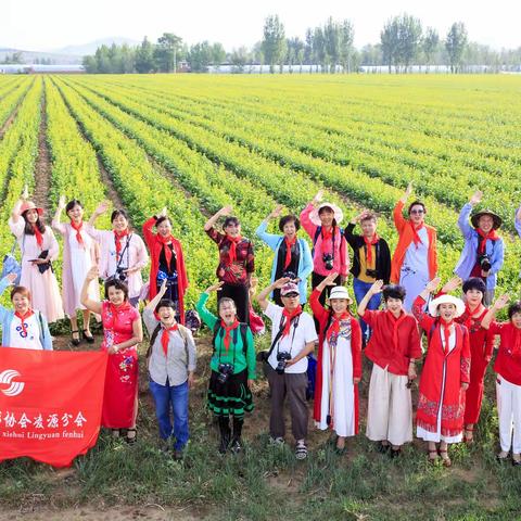 油菜花香      醉美凌源