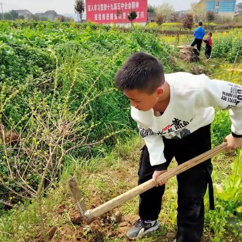 仁怀市后山民族中学组织开展植树活动