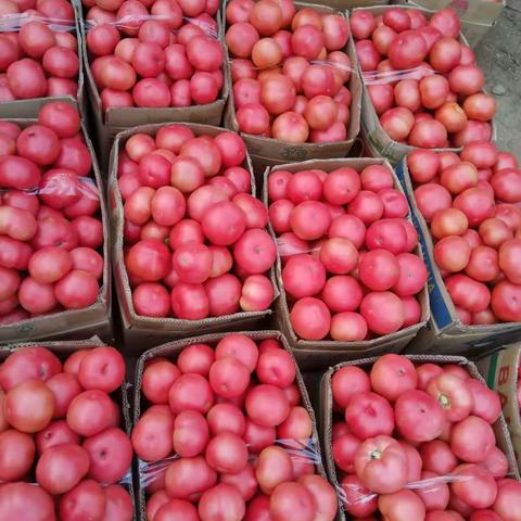 不一样的六一儿童节