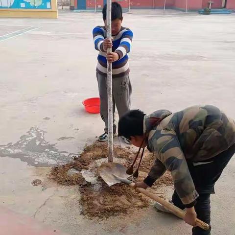 孙陶镇中心校——植树节活动